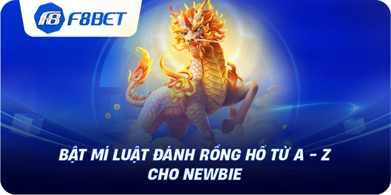 Bật mí luật đánh rồng hổ từ A - Z cho newbie