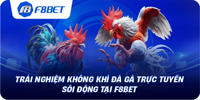 Trải nghiệm không khí đá gà trực tuyến sôi động tại F8BET