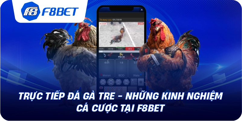 Trực Tiếp Đá Gà Tre - Những Kinh Nghiệm Cá Cược Tại F8BET
